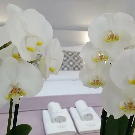Royals Flower Apartment Krakow